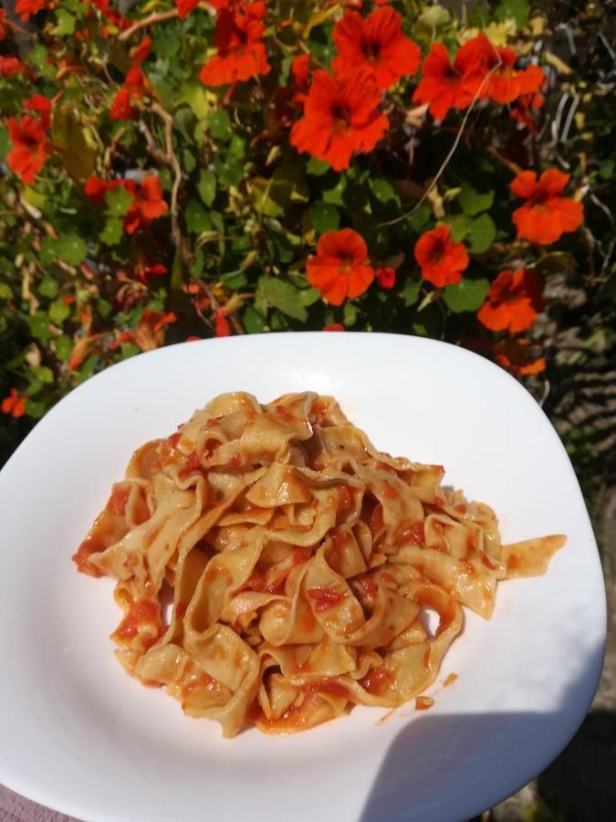 Agriturismo Terre Di Mare Bordighera Vallecrosia Bagian luar foto