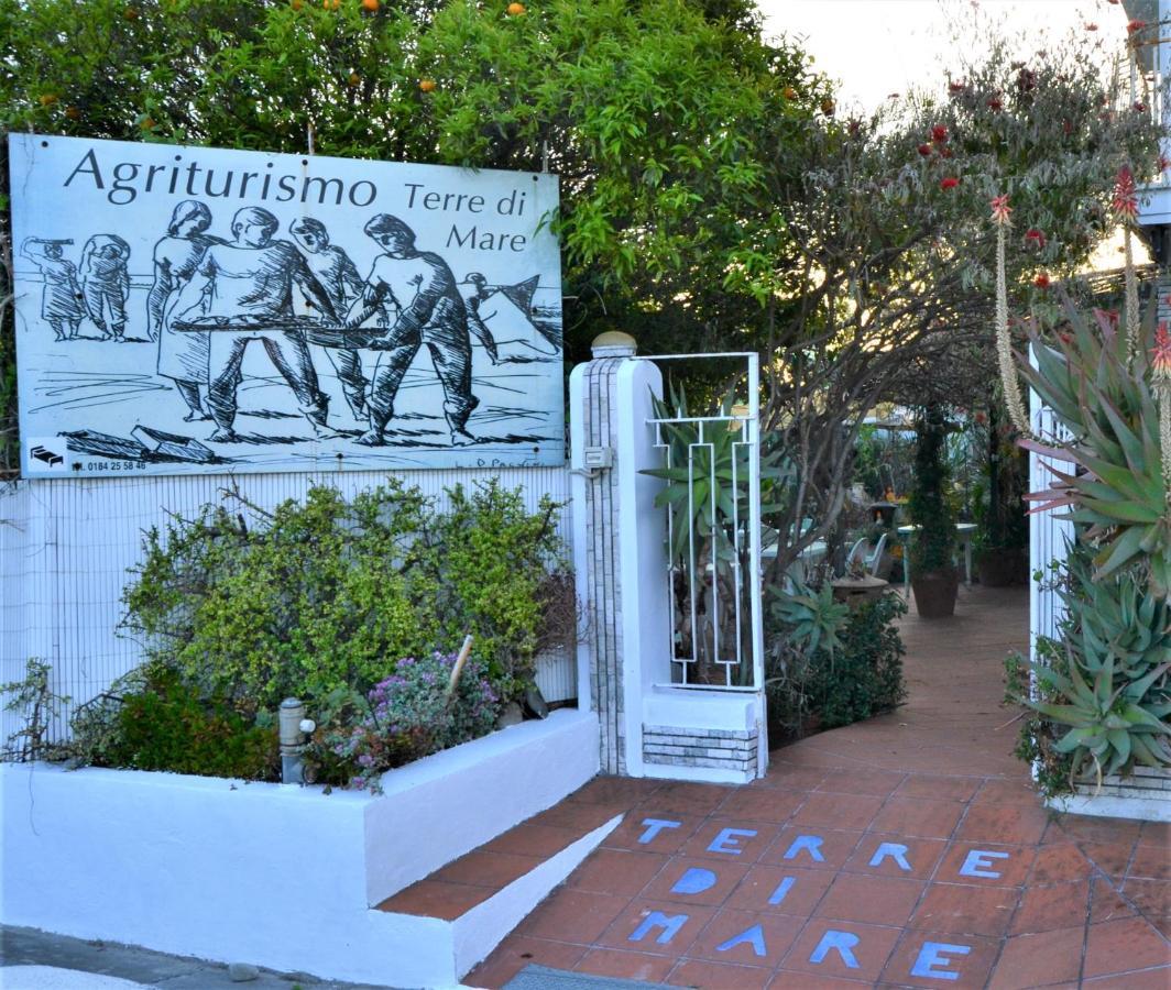 Agriturismo Terre Di Mare Bordighera Vallecrosia Bagian luar foto