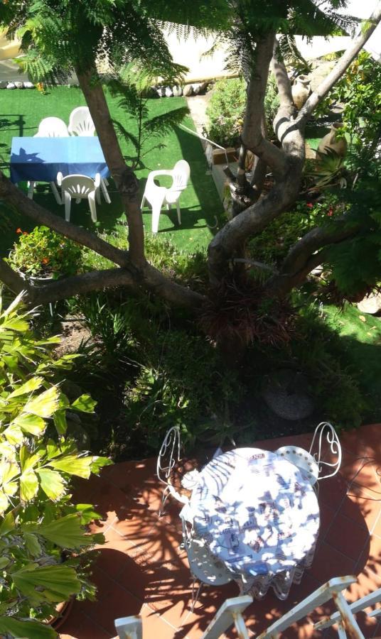 Agriturismo Terre Di Mare Bordighera Vallecrosia Bagian luar foto