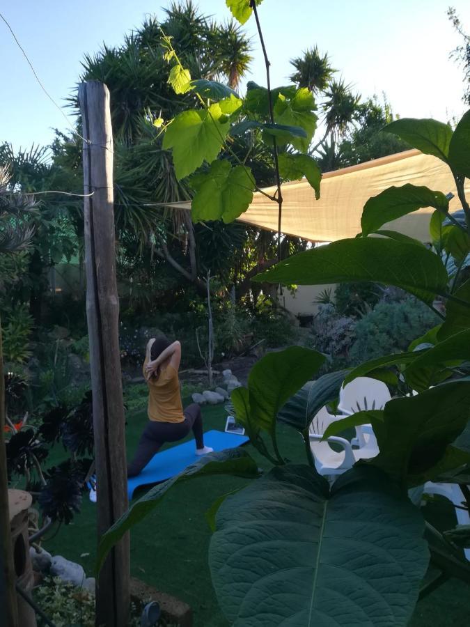 Agriturismo Terre Di Mare Bordighera Vallecrosia Bagian luar foto
