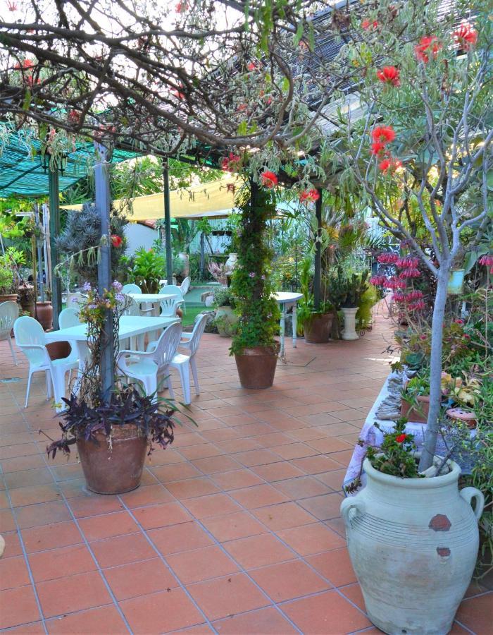 Agriturismo Terre Di Mare Bordighera Vallecrosia Bagian luar foto