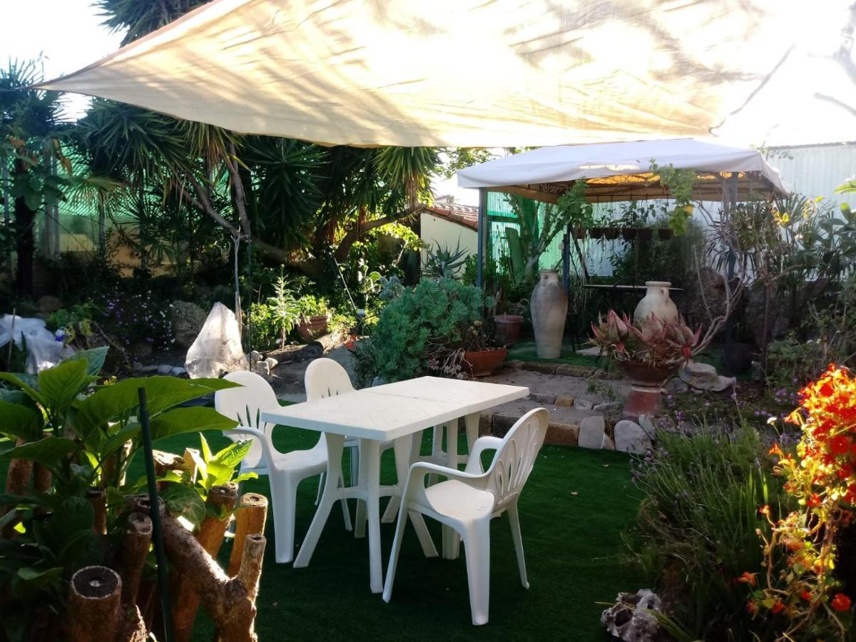 Agriturismo Terre Di Mare Bordighera Vallecrosia Bagian luar foto